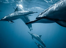 华体会网址：开启体育精神的新入口